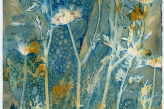 altea leszczynska_cyjanotypia-2